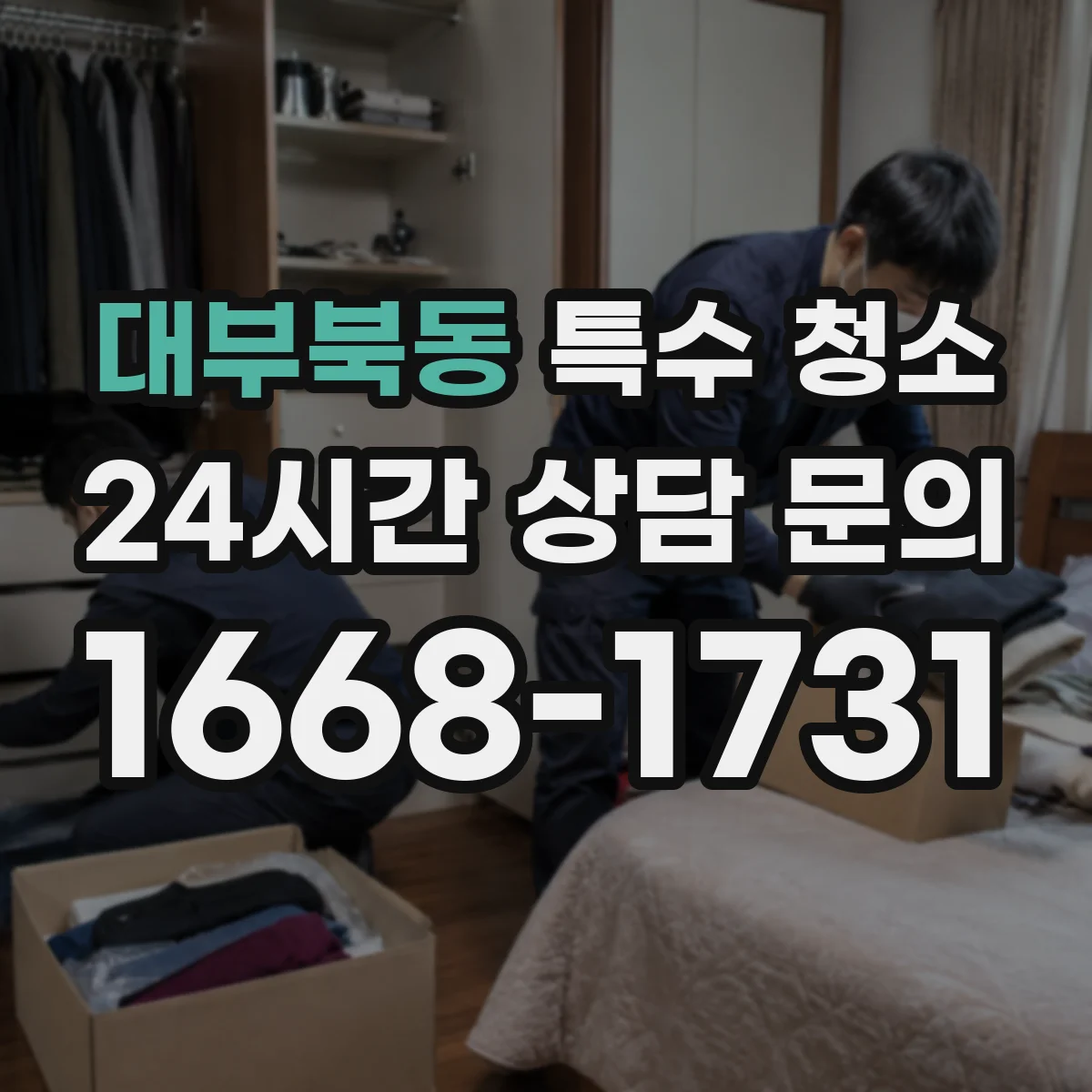 대부북동 특수 청소