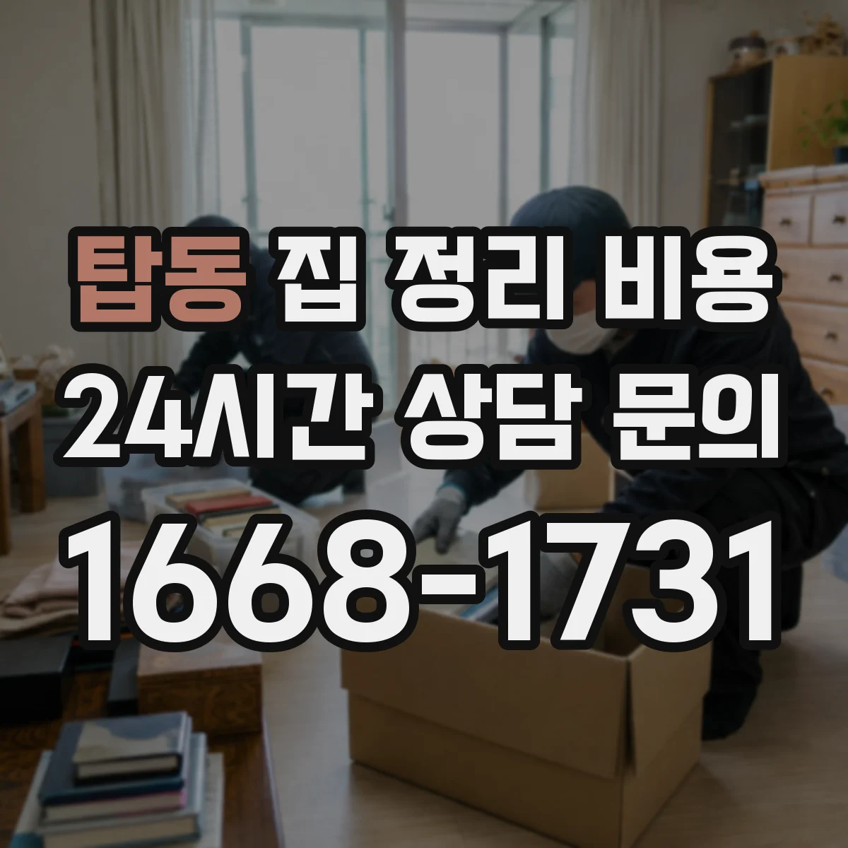 탑동 집 정리 비용