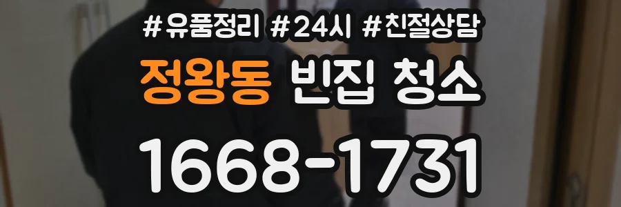 정왕동 빈집 청소