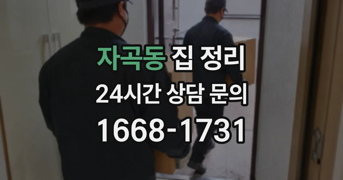 자곡동 집 정리