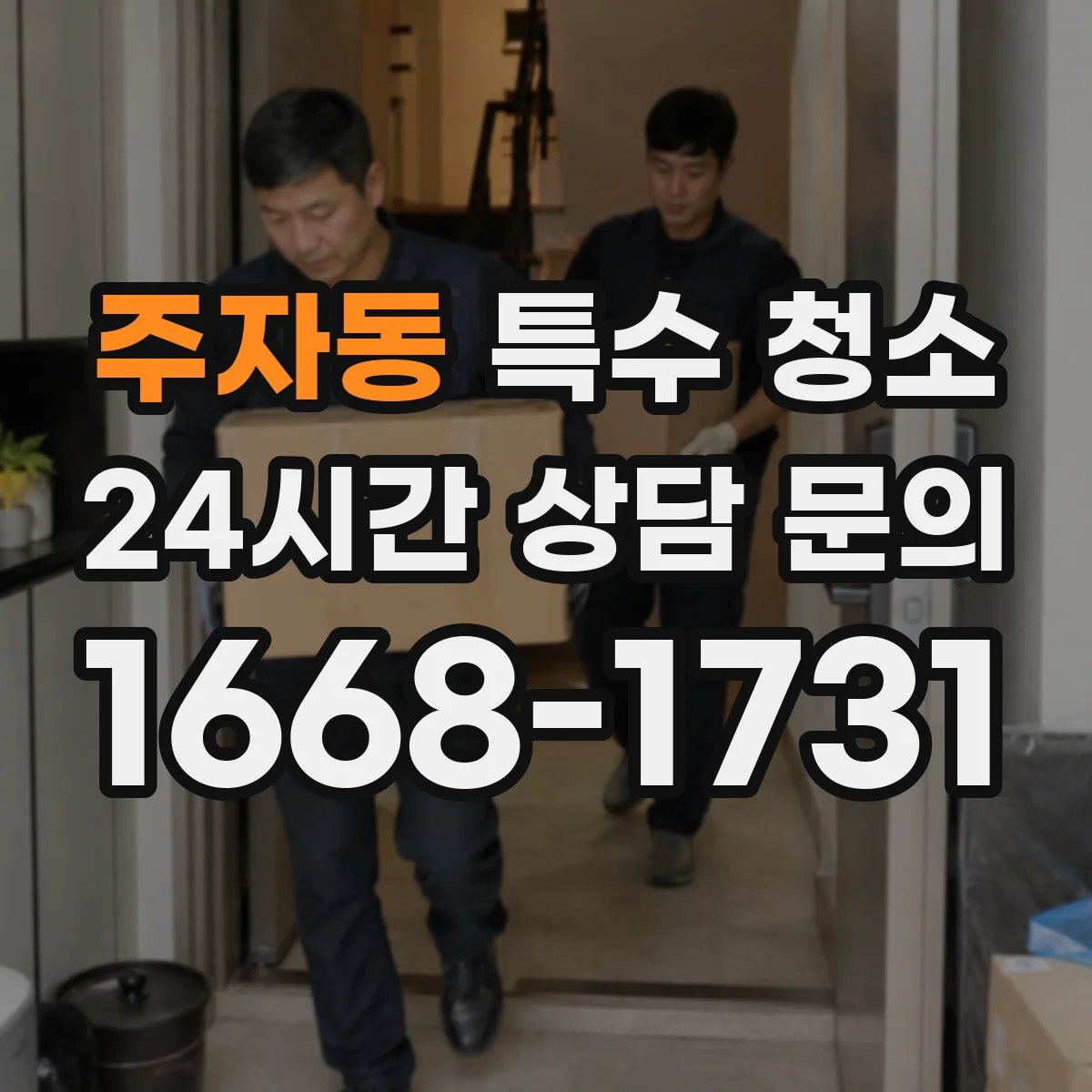 주자동 특수 청소