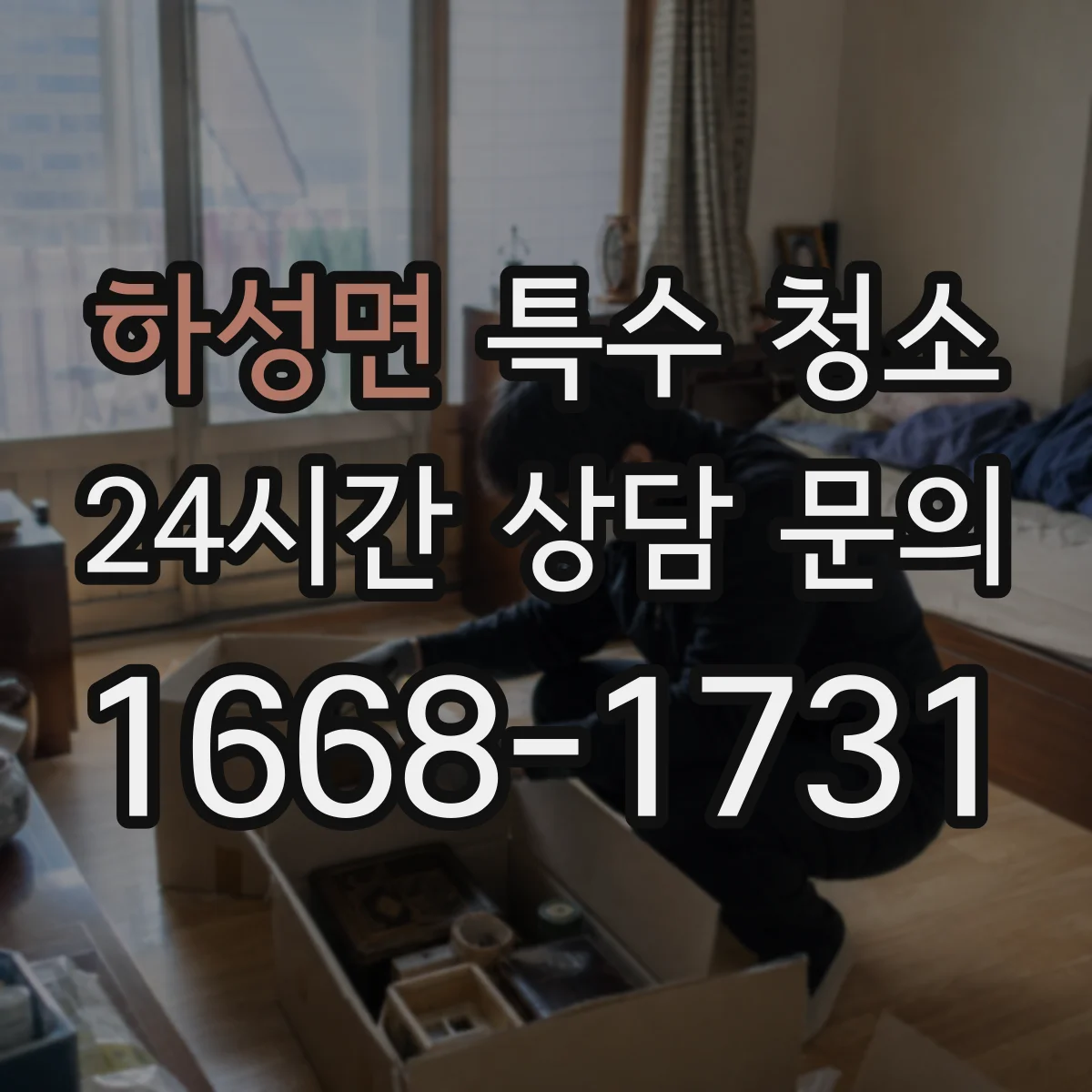 하성면 특수 청소
