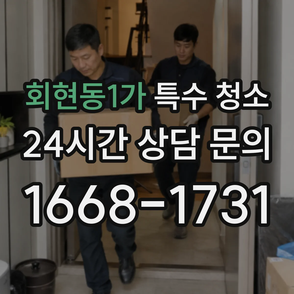 회현동1가 특수 청소