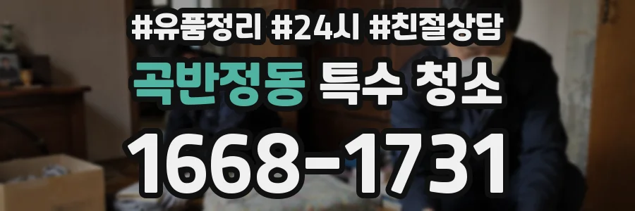 곡반정동 특수 청소