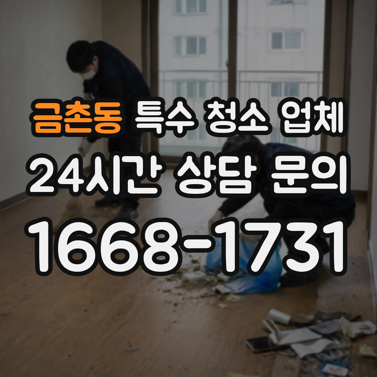 금촌동 특수 청소 업체