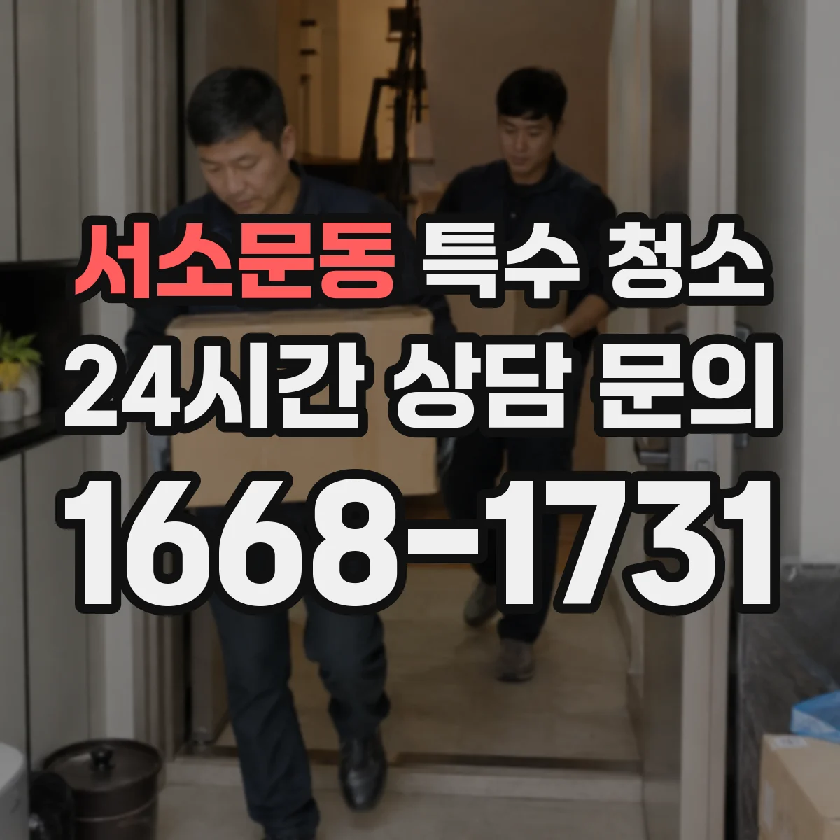 서소문동 특수 청소
