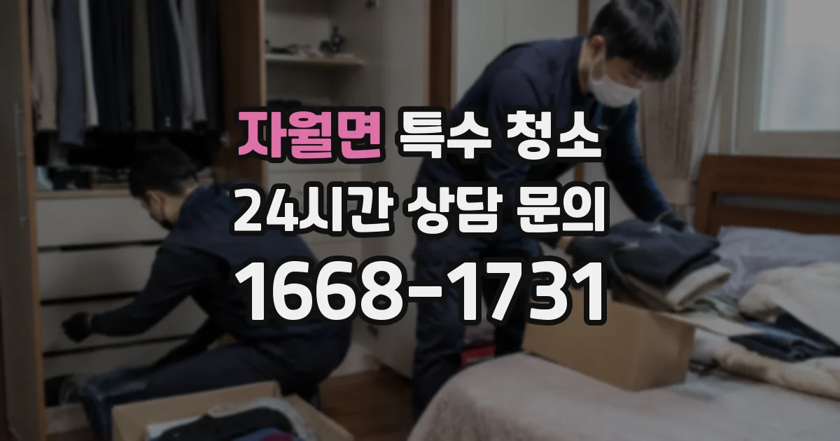 자월면 특수 청소