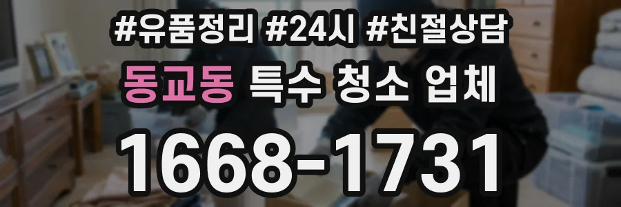동교동 특수 청소 업체
