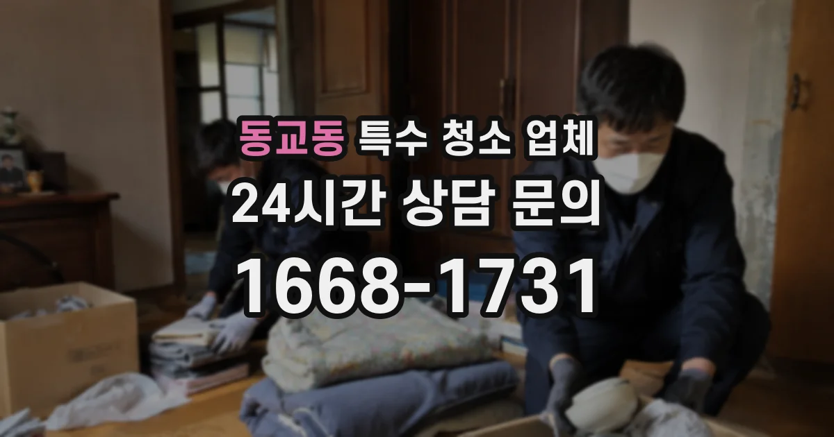 동교동 특수 청소 업체