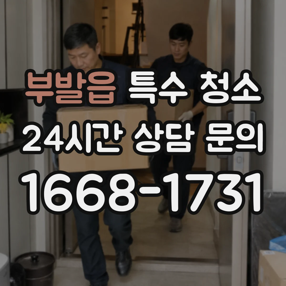 부발읍 특수 청소