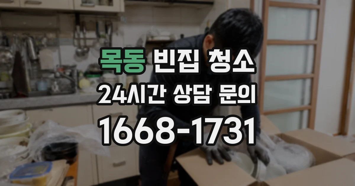 목동 빈집 청소