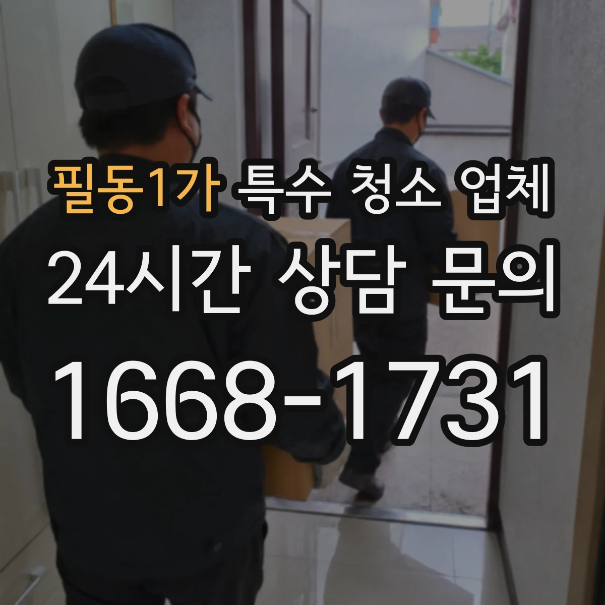 필동1가 특수 청소 업체