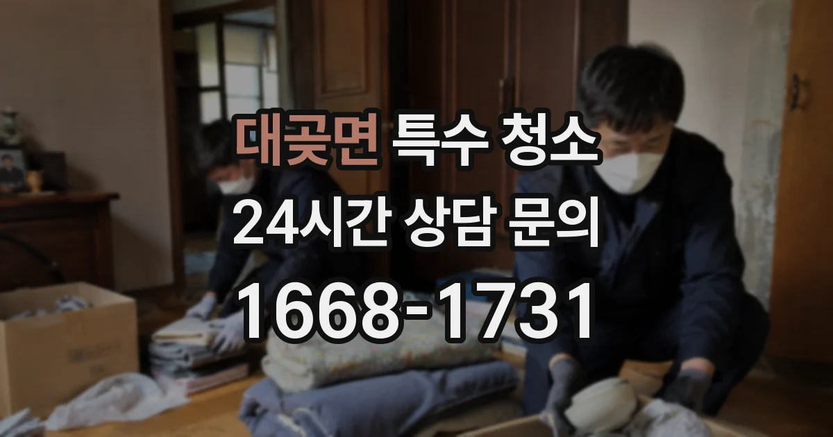대곶면 특수 청소