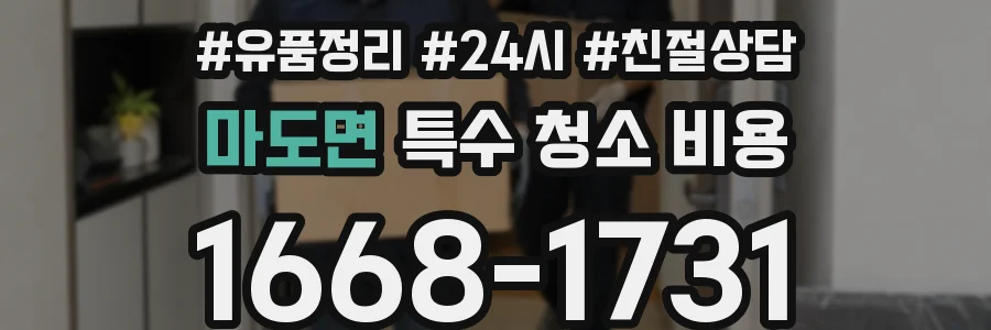 마도면 특수 청소 비용