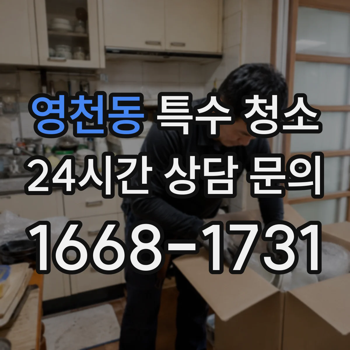 영천동 특수 청소