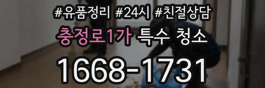 충정로1가 특수 청소