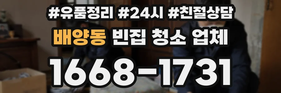 배양동 빈집 청소 업체