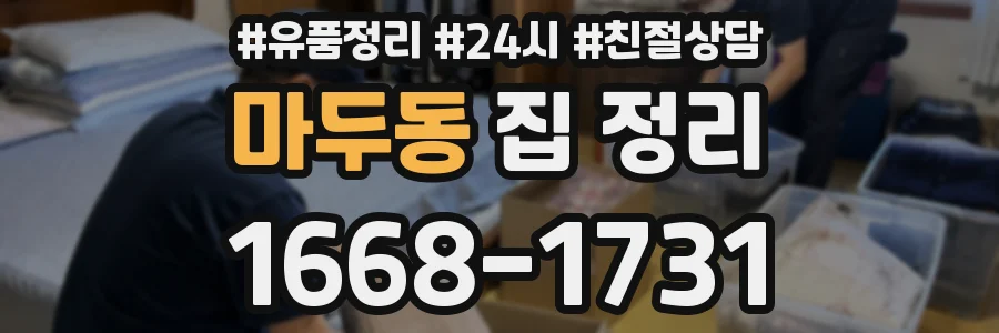 마두동 집 정리