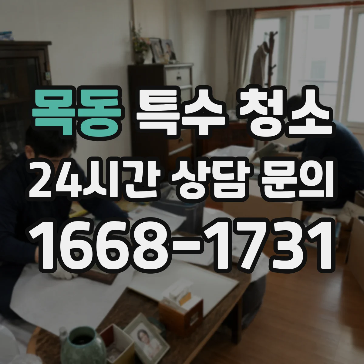 목동 특수 청소