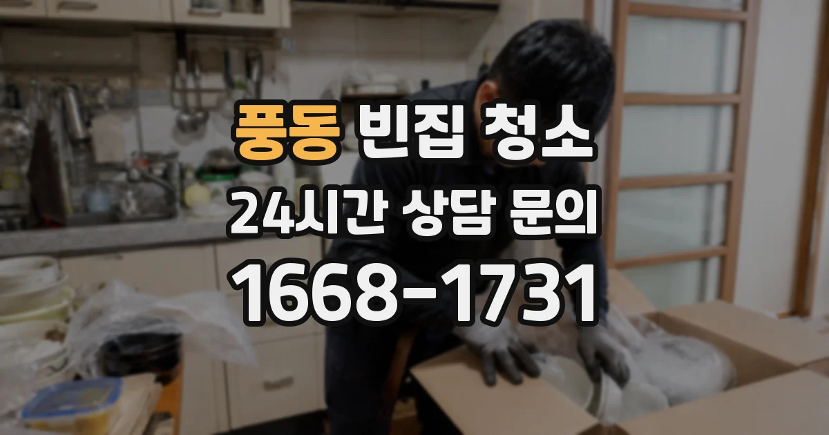 풍동 빈집 청소