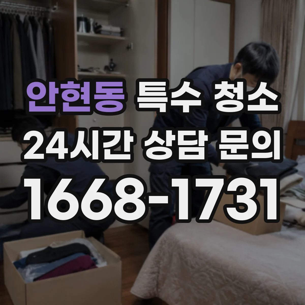 안현동 특수 청소