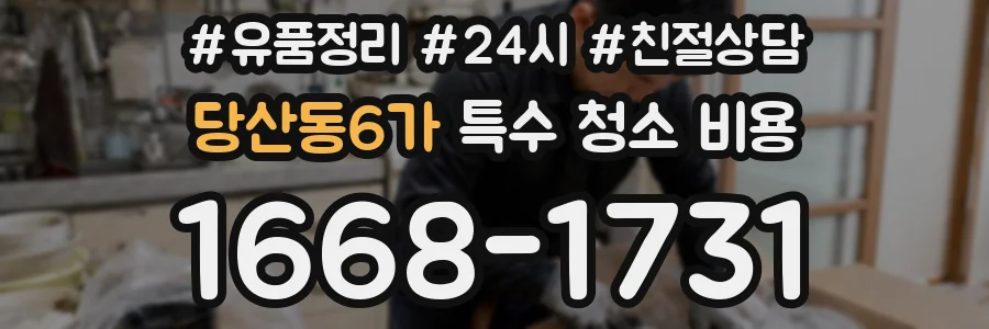 당산동6가 특수 청소 비용