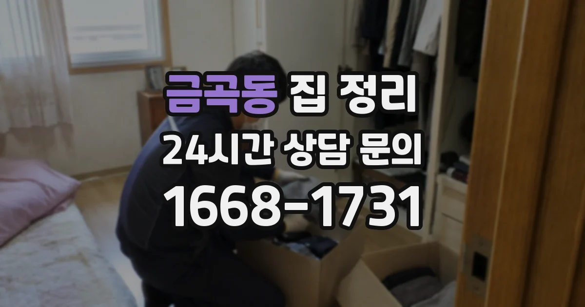 금곡동 집 정리