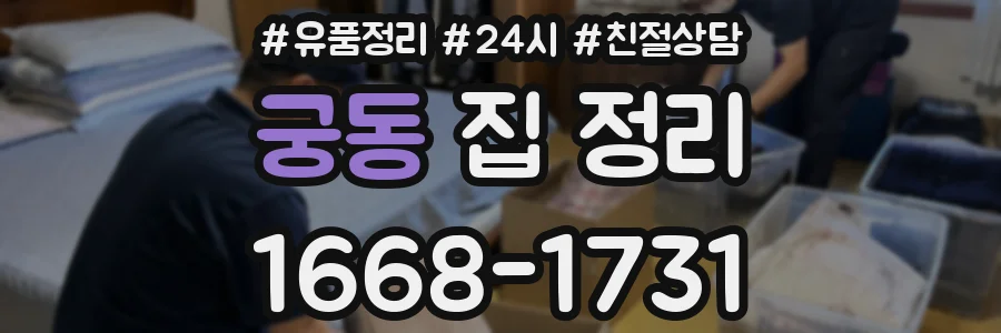 궁동 집 정리