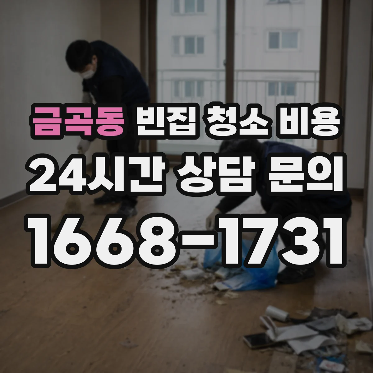 금곡동 빈집 청소 비용