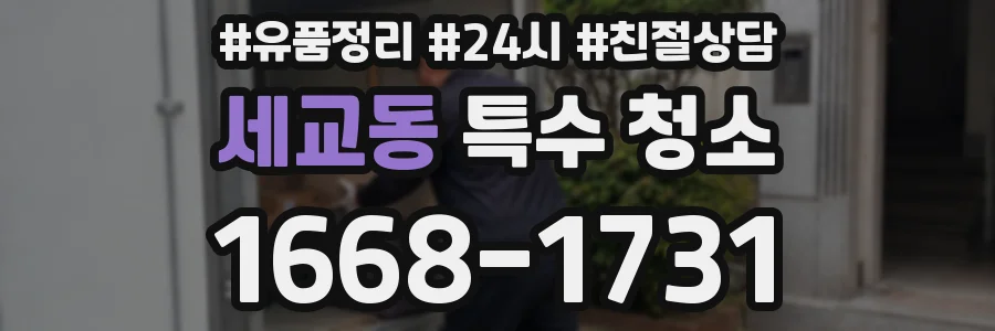 세교동 특수 청소