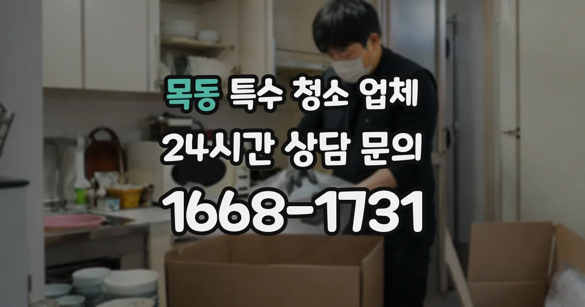목동 특수 청소 업체