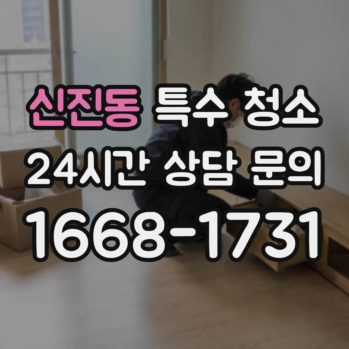 신진동 특수 청소