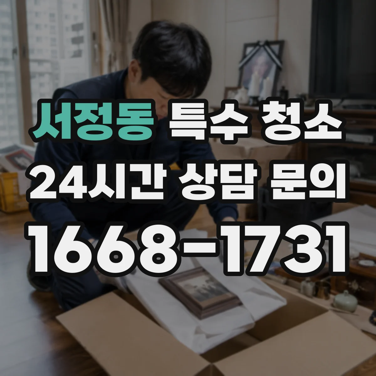 서정동 특수 청소