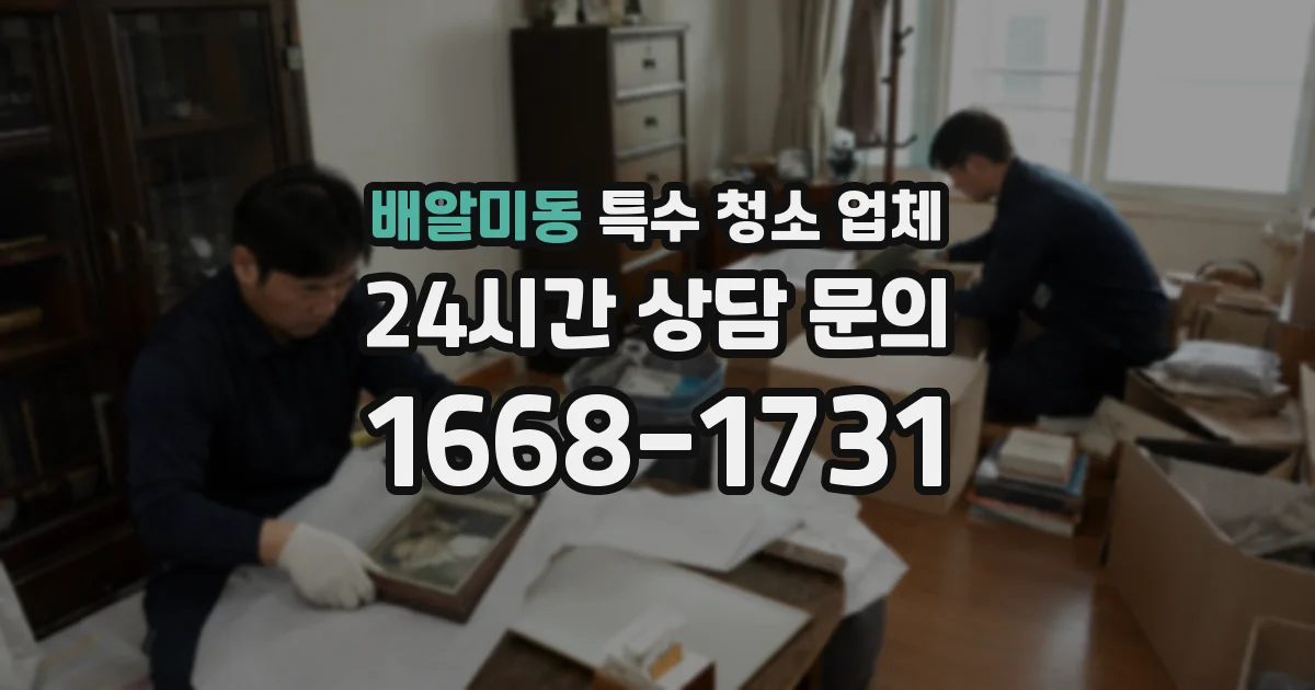 배알미동 특수 청소 업체