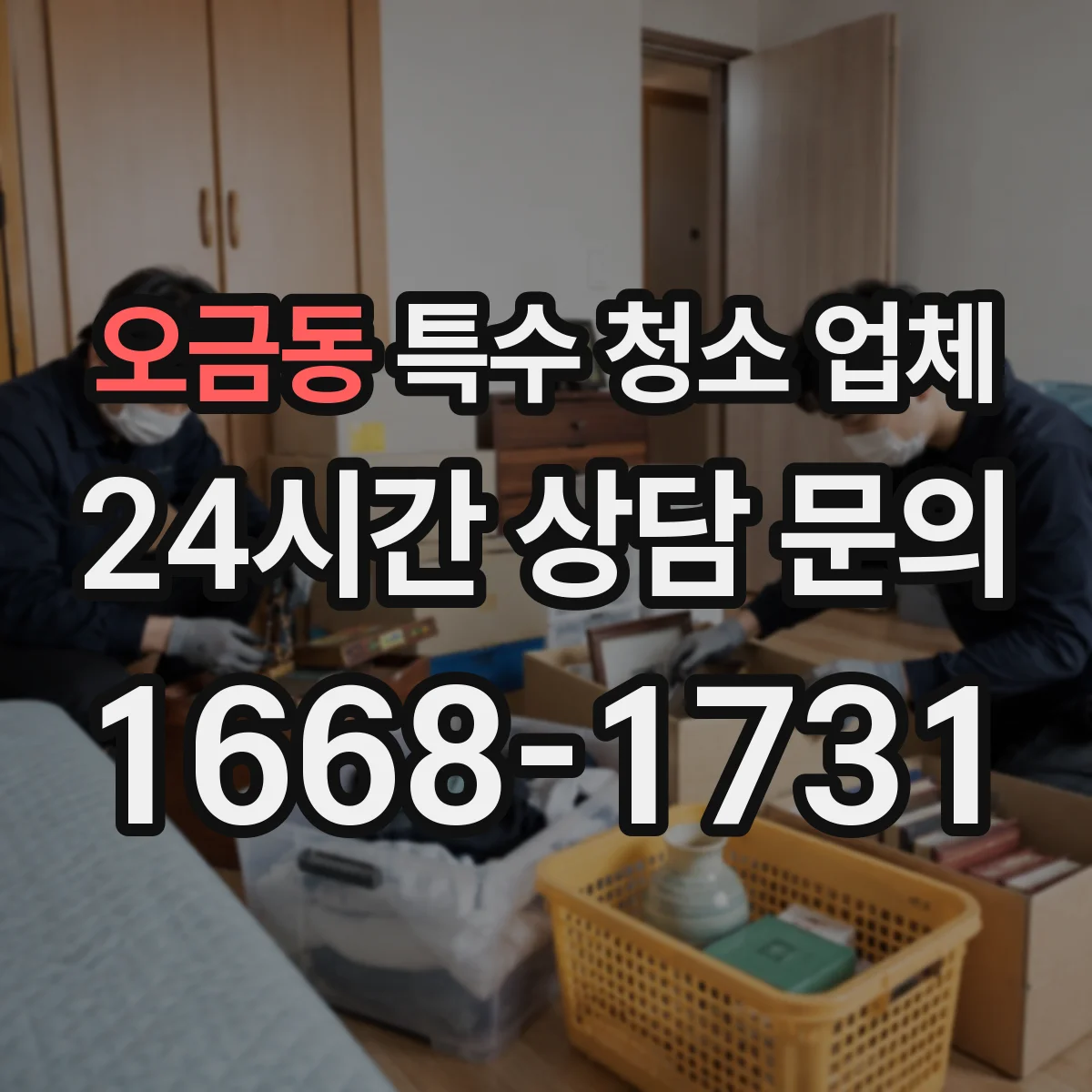 오금동 특수 청소 업체