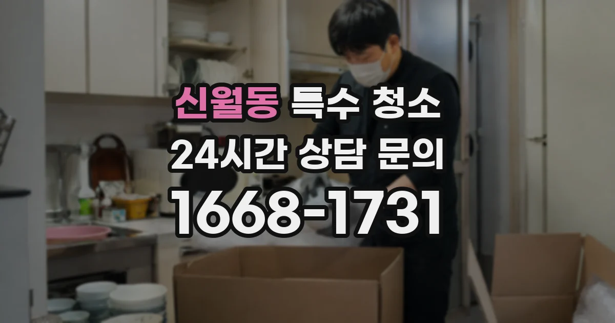 신월동 특수 청소