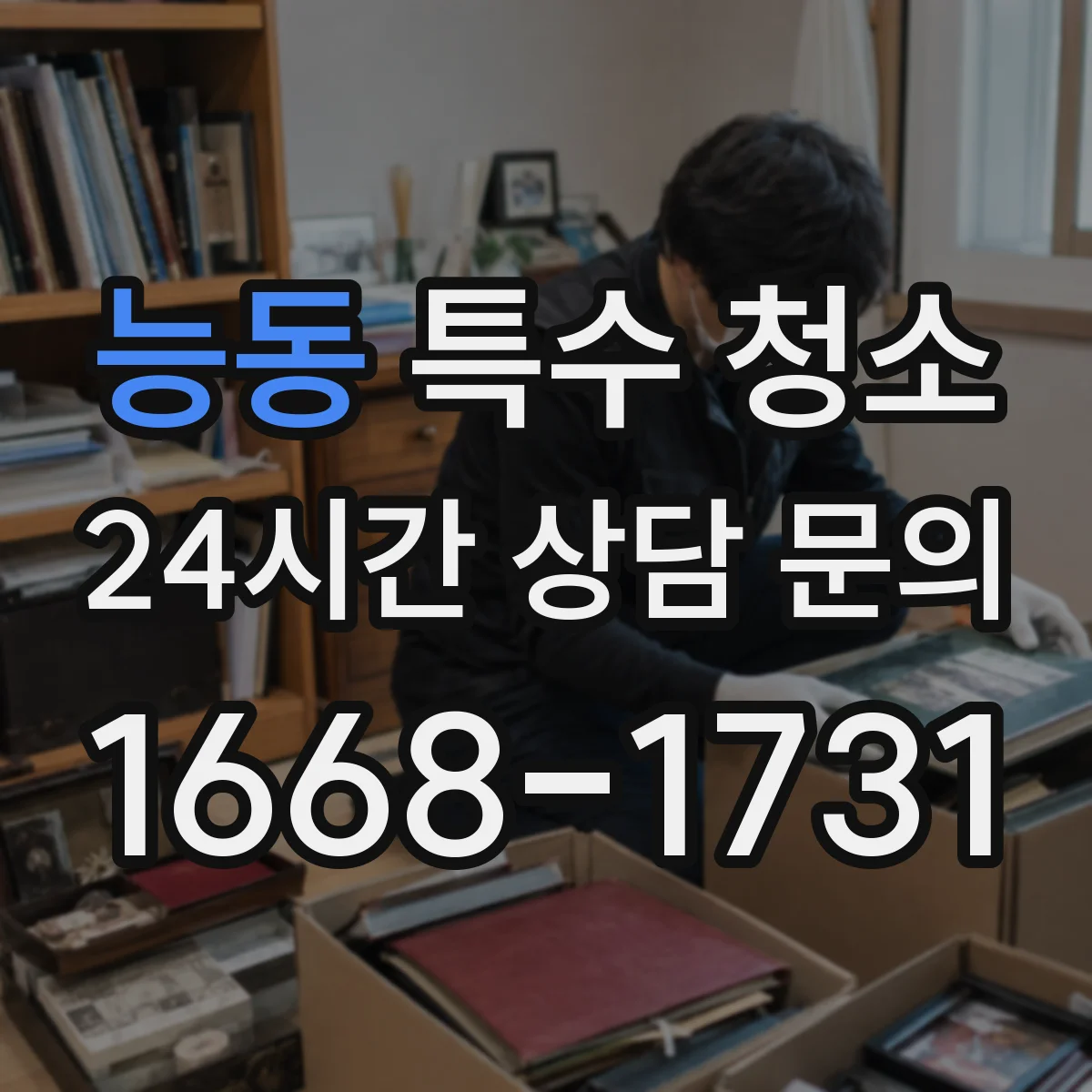 능동 특수 청소