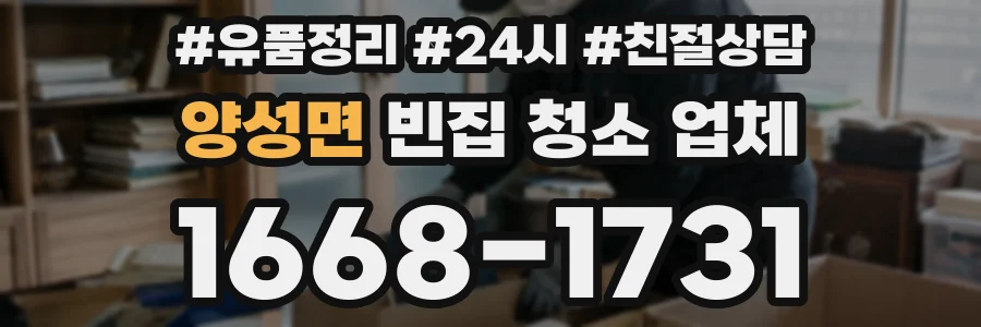 양성면 빈집 청소 업체