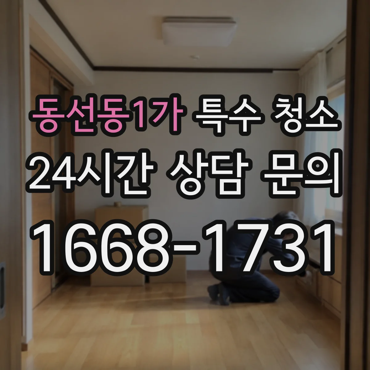 동선동1가 특수 청소