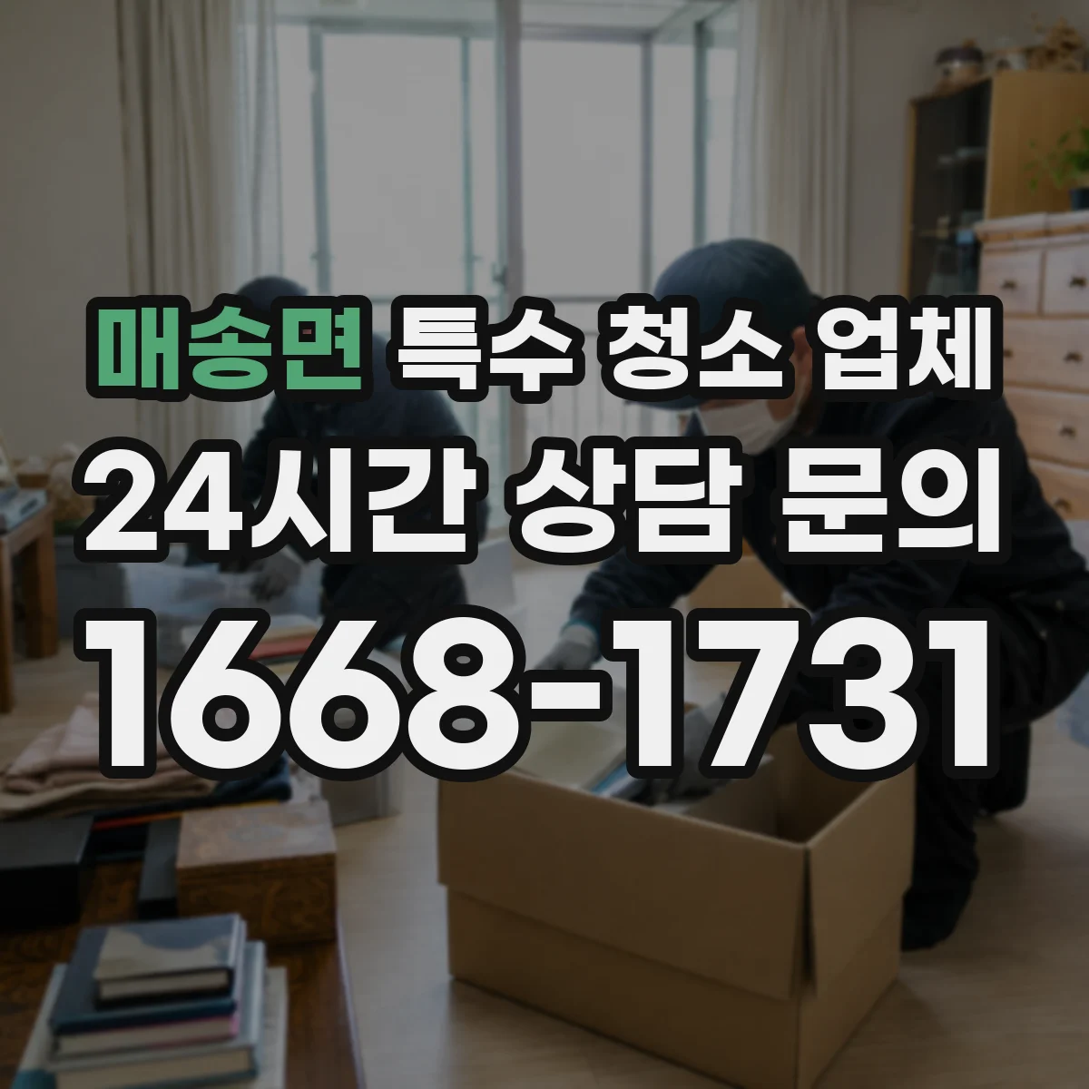 매송면 특수 청소 업체
