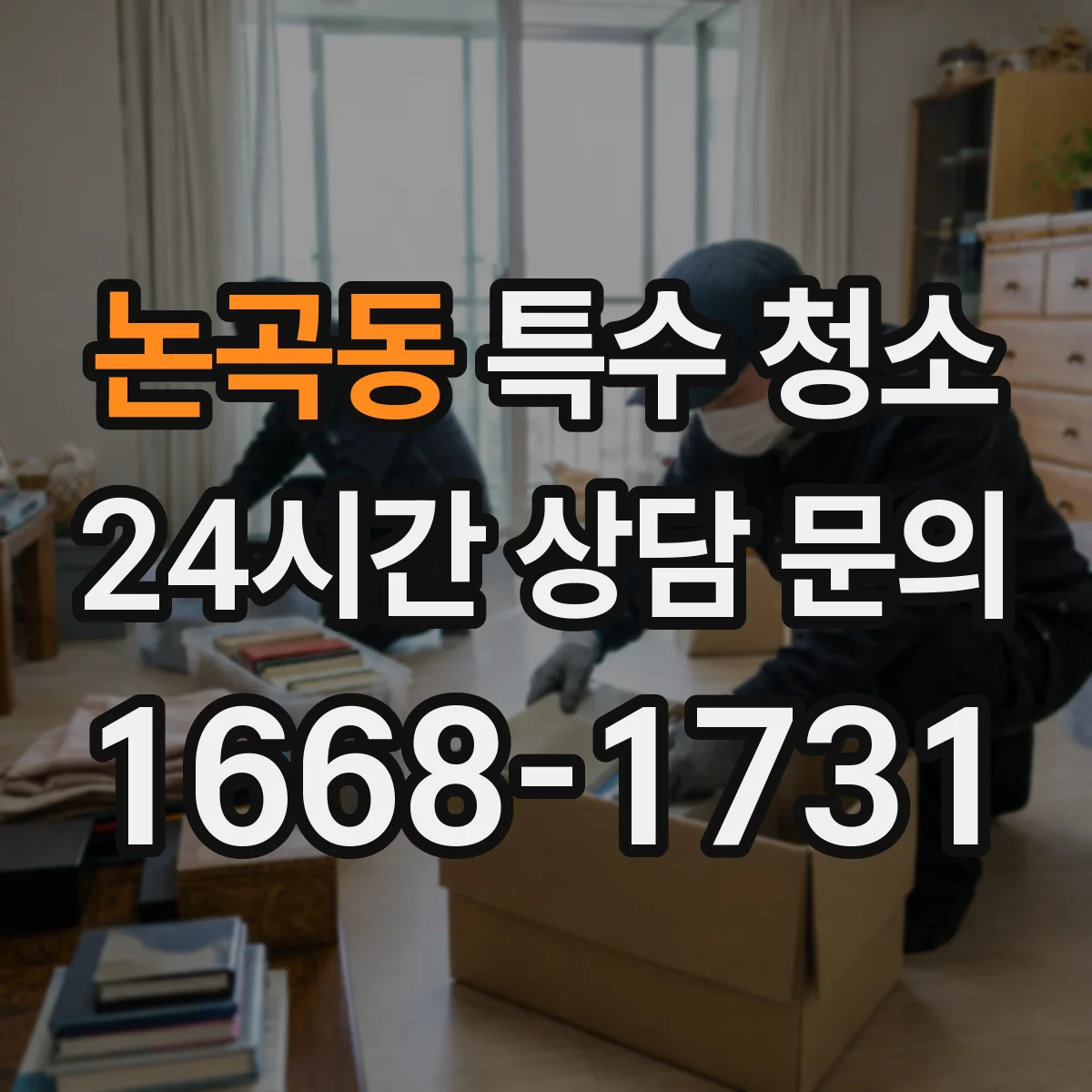 논곡동 특수 청소
