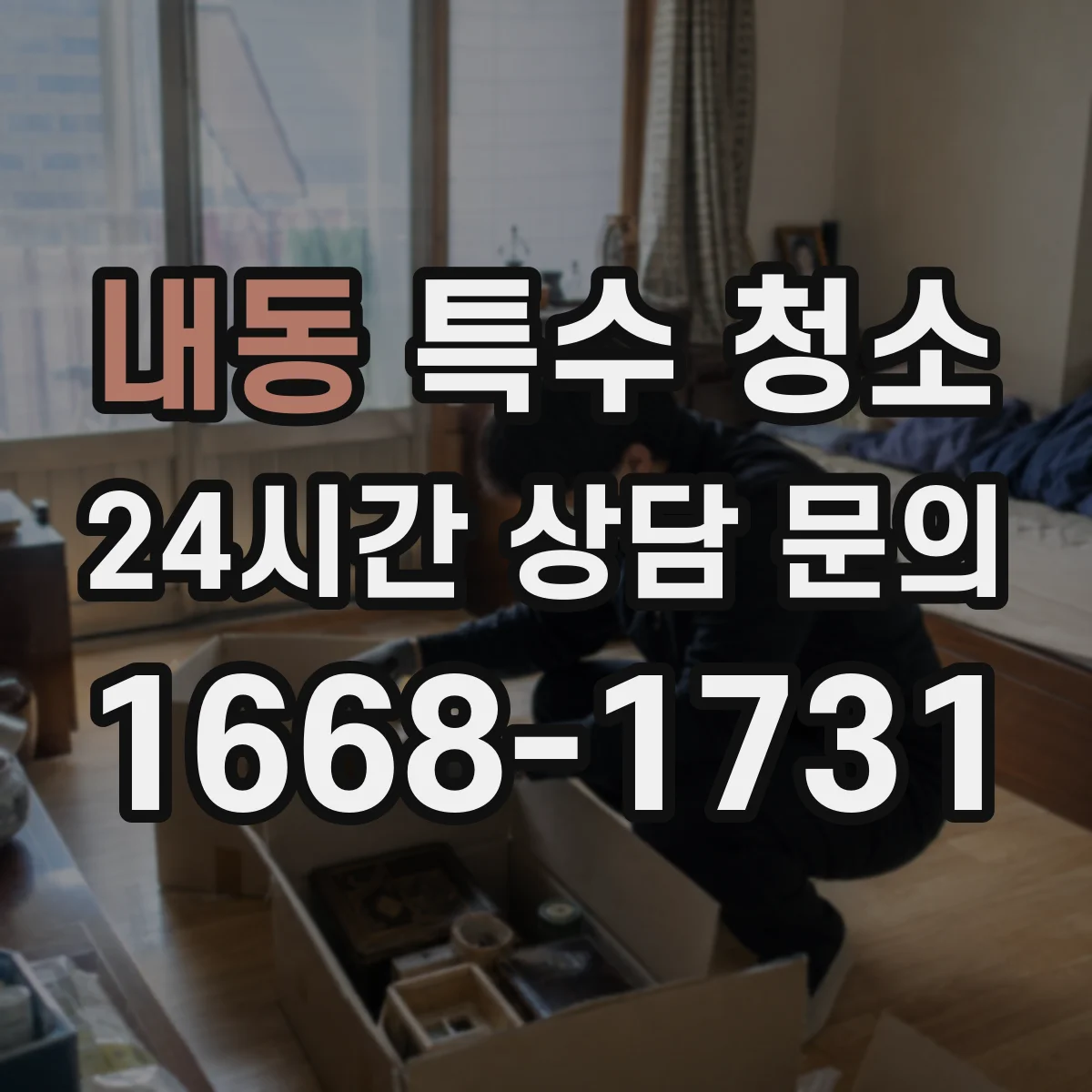내동 특수 청소
