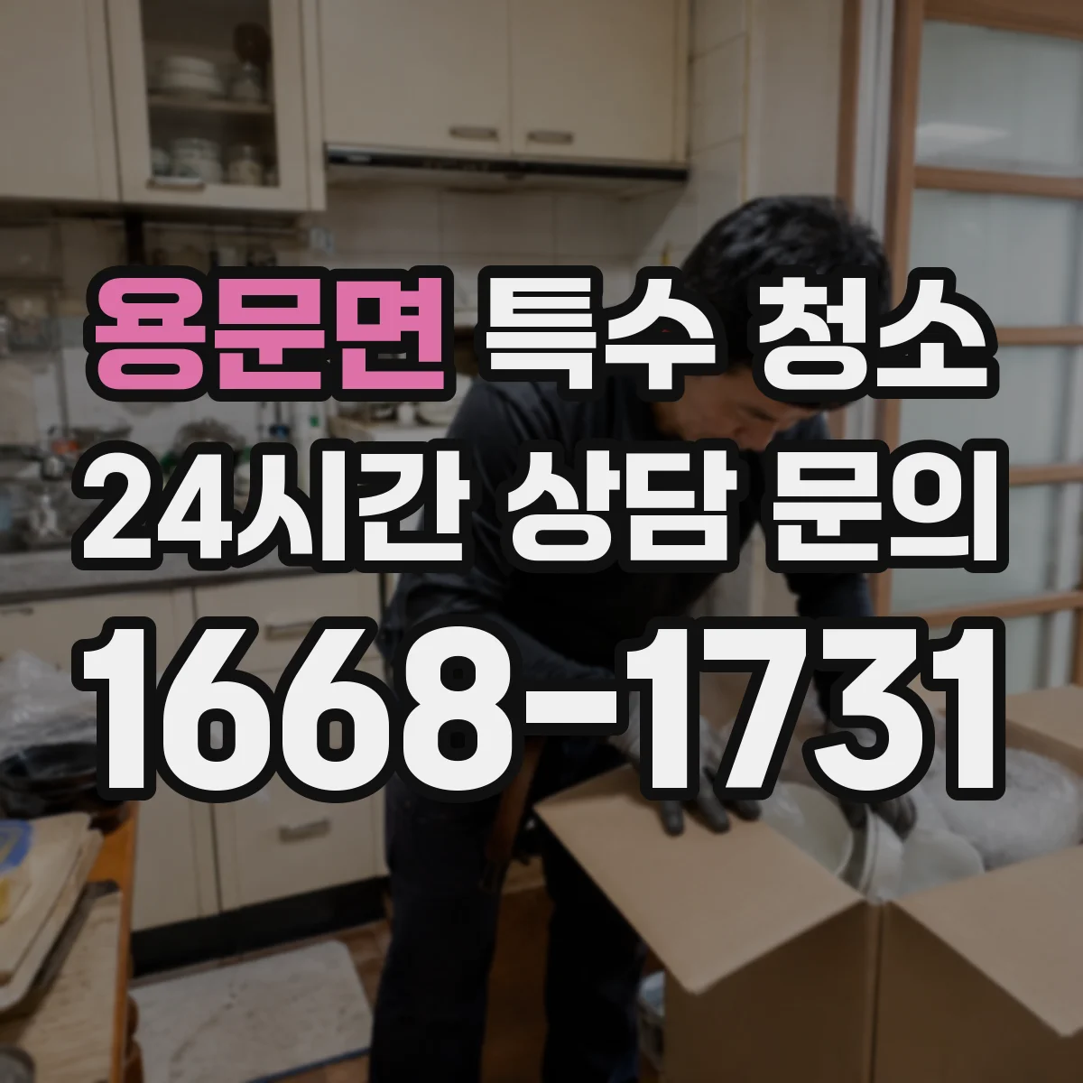 용문면 특수 청소
