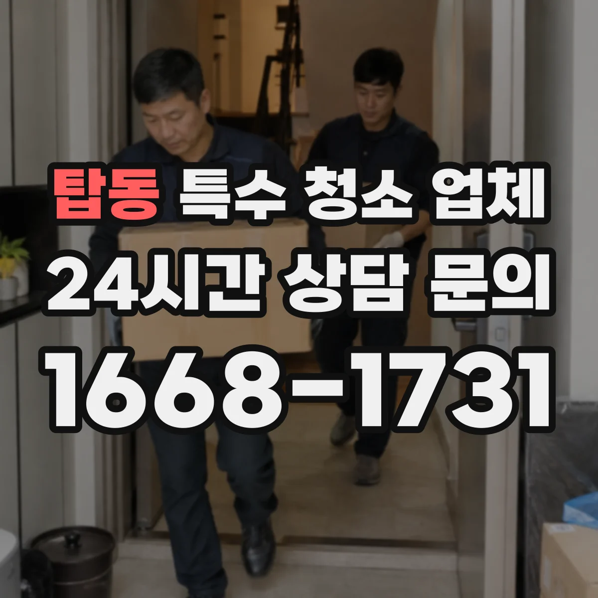 탑동 특수 청소 업체