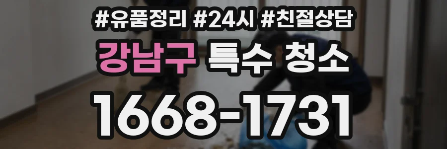 강남구 특수 청소