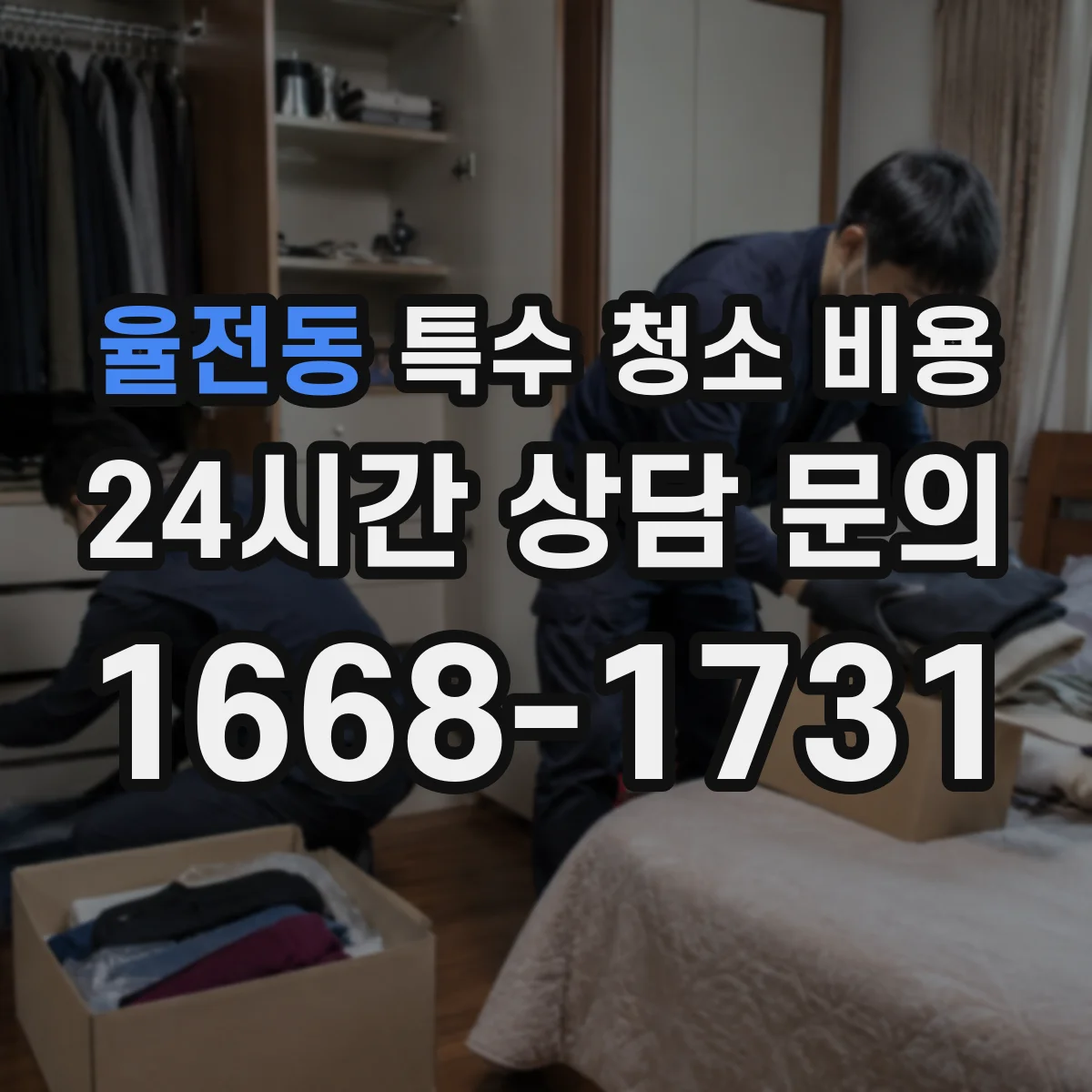 율전동 특수 청소 비용