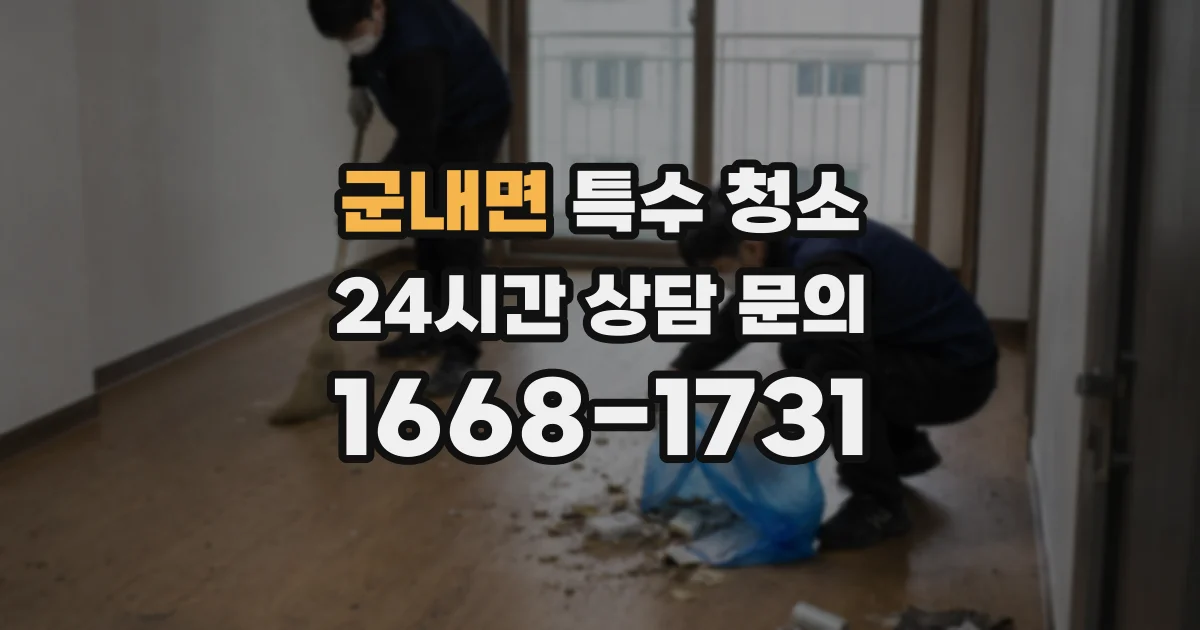 군내면 특수 청소