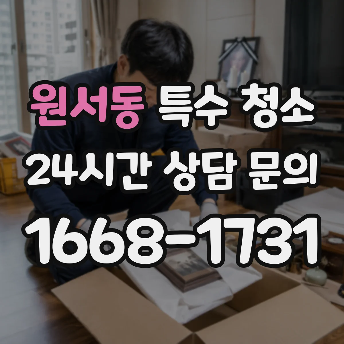 원서동 특수 청소
