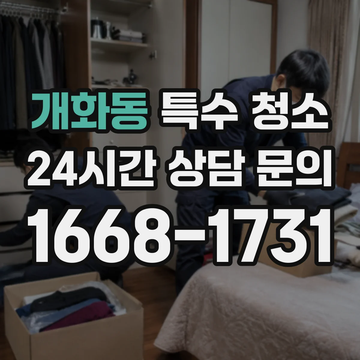 개화동 특수 청소