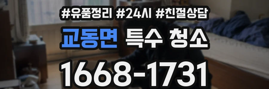 교동면 특수 청소
